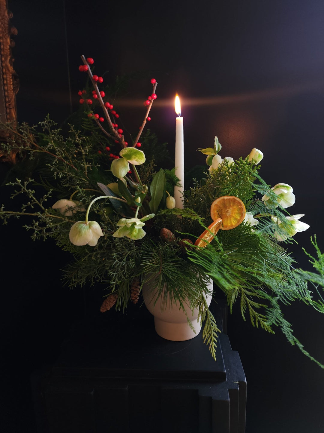 Winter & Christmas Flower Collection - Grow & Bloom Co.