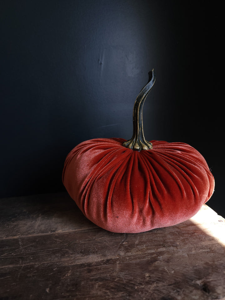 Velvet Pumpkin  Large - Grow & Bloom Co.