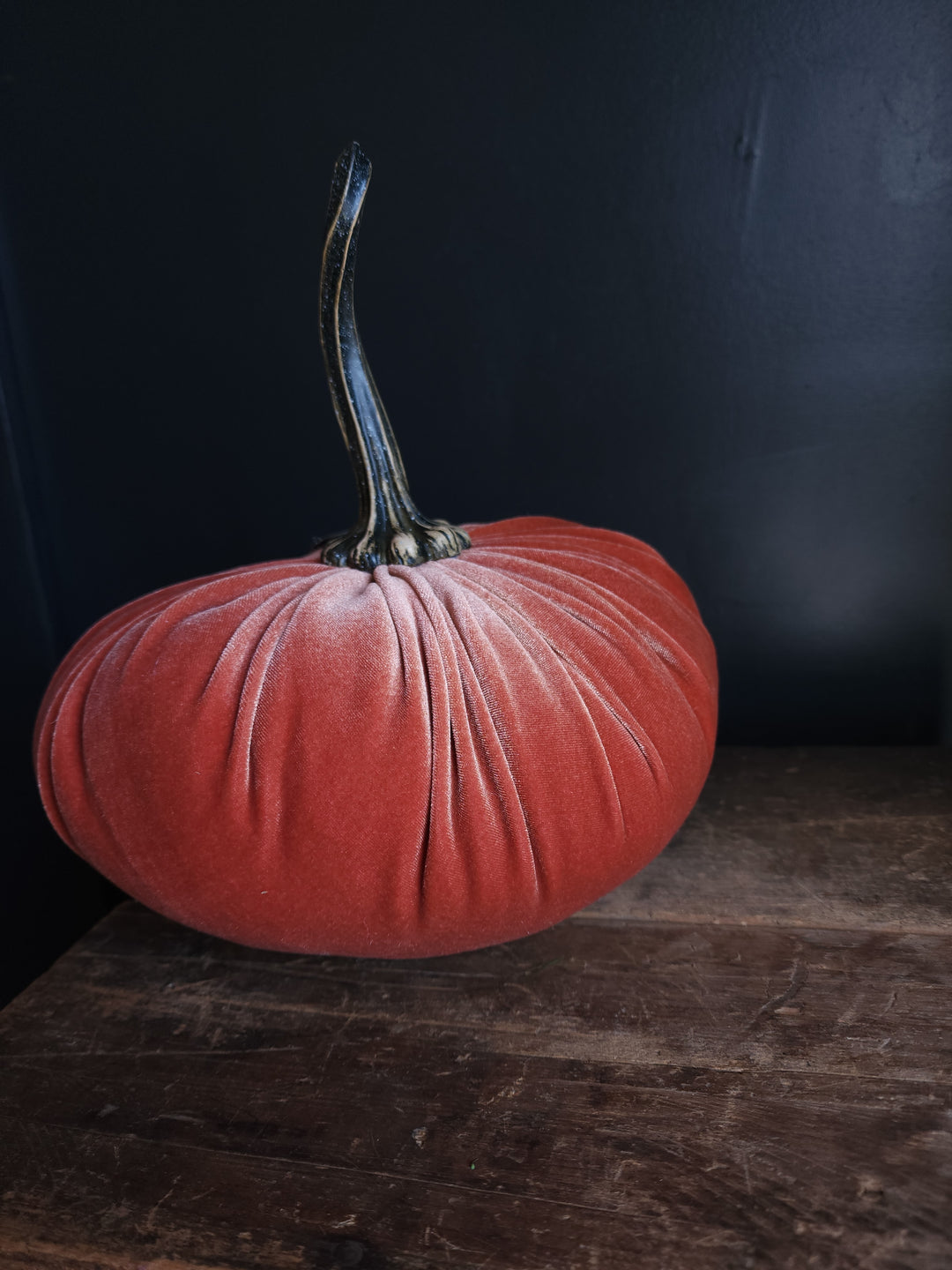 Velvet Pumpkin  Large - Grow & Bloom Co.