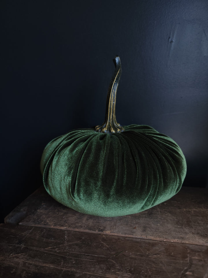 Velvet Pumpkin  Large - Grow & Bloom Co.