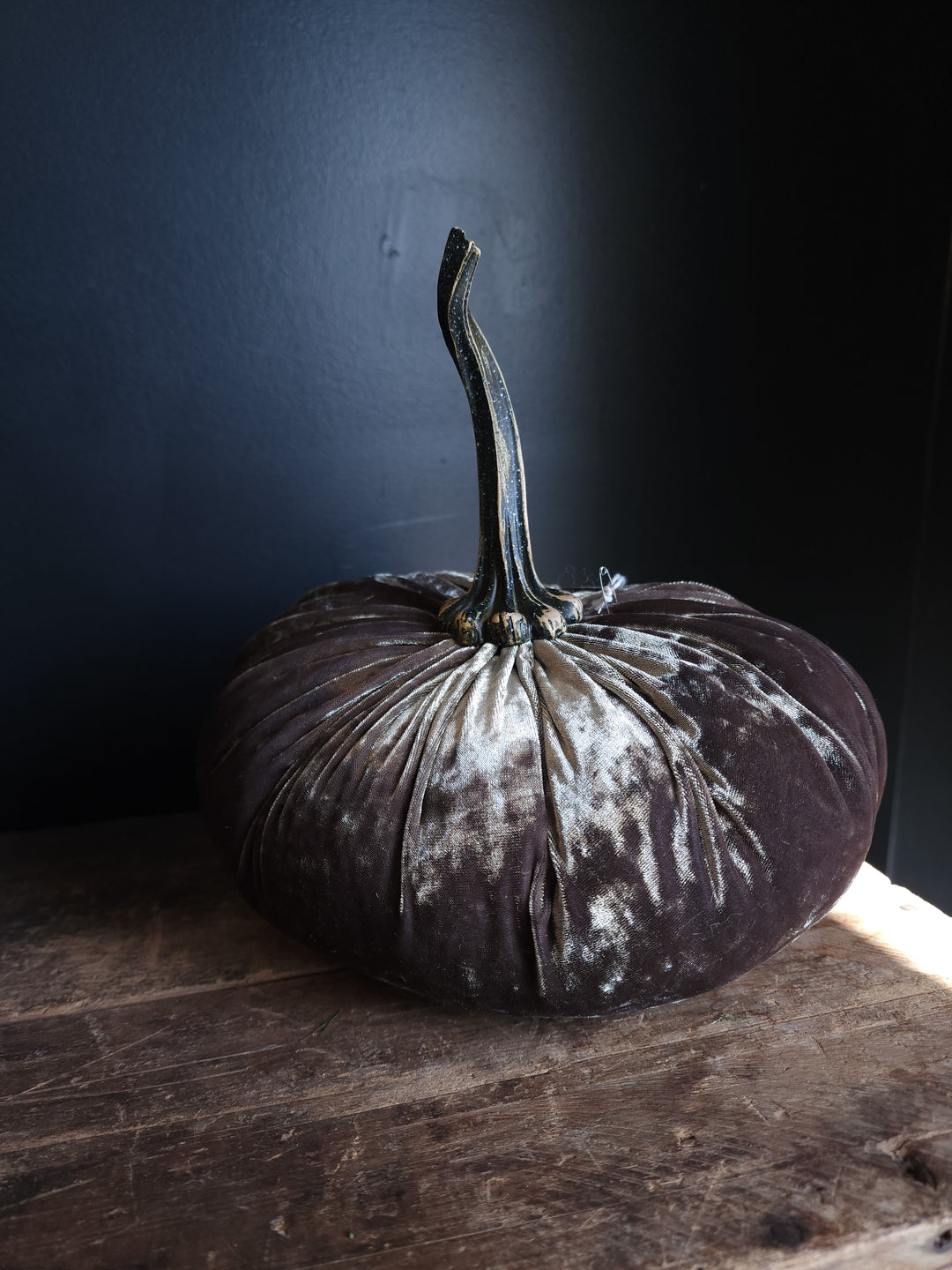 Velvet Pumpkin  Large - Grow & Bloom Co.