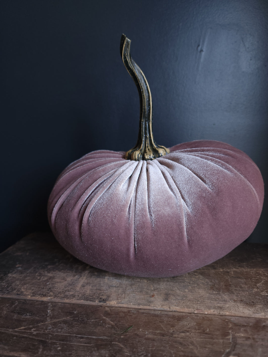 Velvet Pumpkin  Large - Grow & Bloom Co.