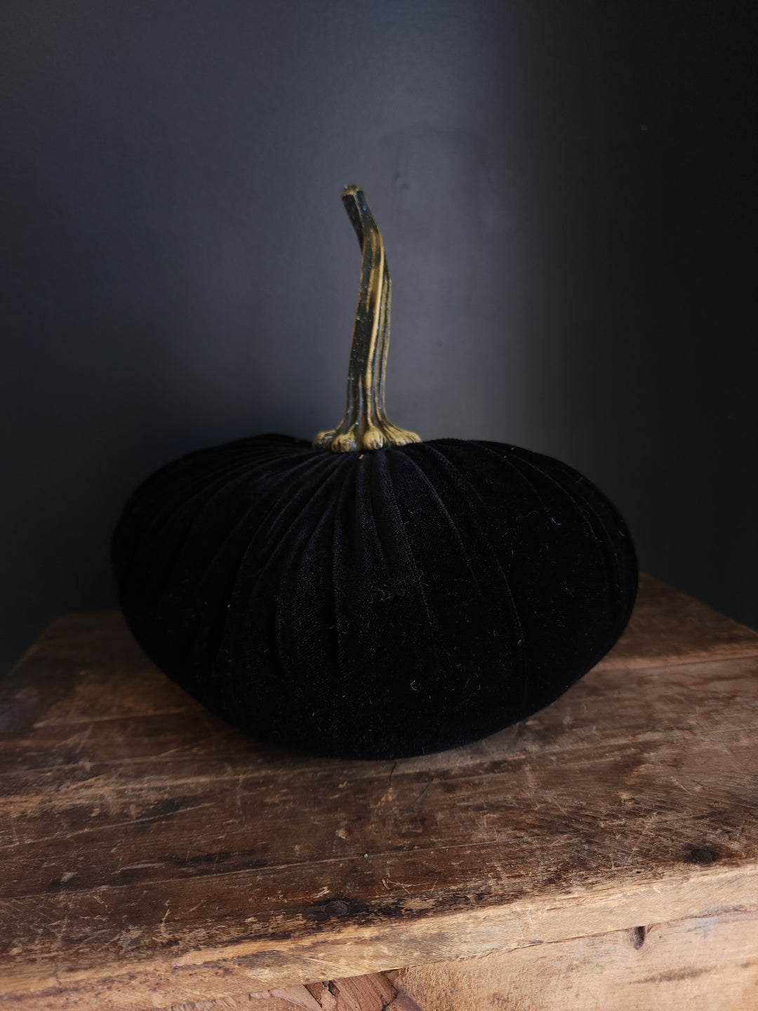 Velvet Pumpkin  Large - Grow & Bloom Co.