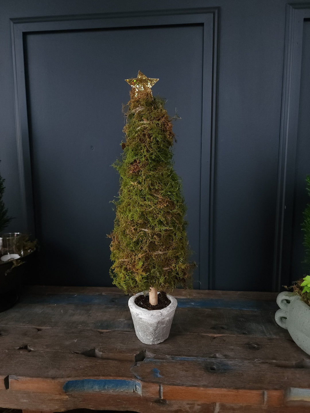 Merry Mossmas Tree - Grow & Bloom Co.