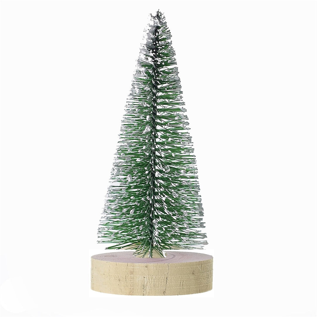 Navidad Bottle Brush Tree Small - Grow & Bloom Co.