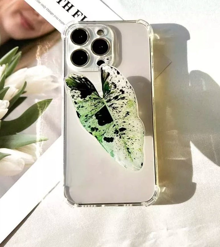 Rare Plant Pop Socket / Phone Grip - Grow & Bloom Co.