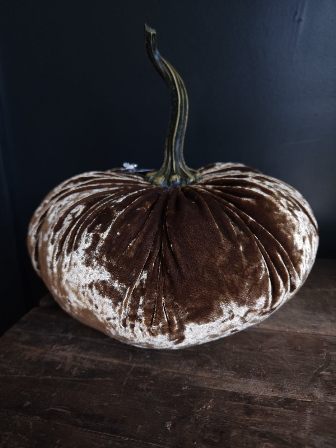 Velvet Pumpkin Large - Grow & Bloom Co.