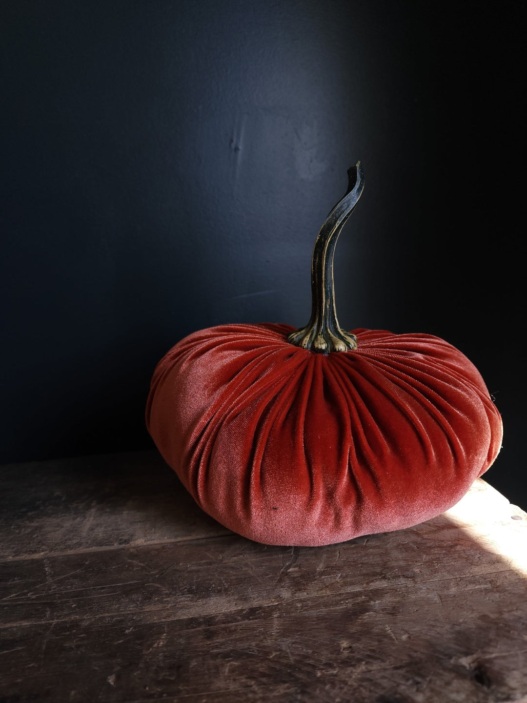 Velvet Pumpkin Large - Grow & Bloom Co.