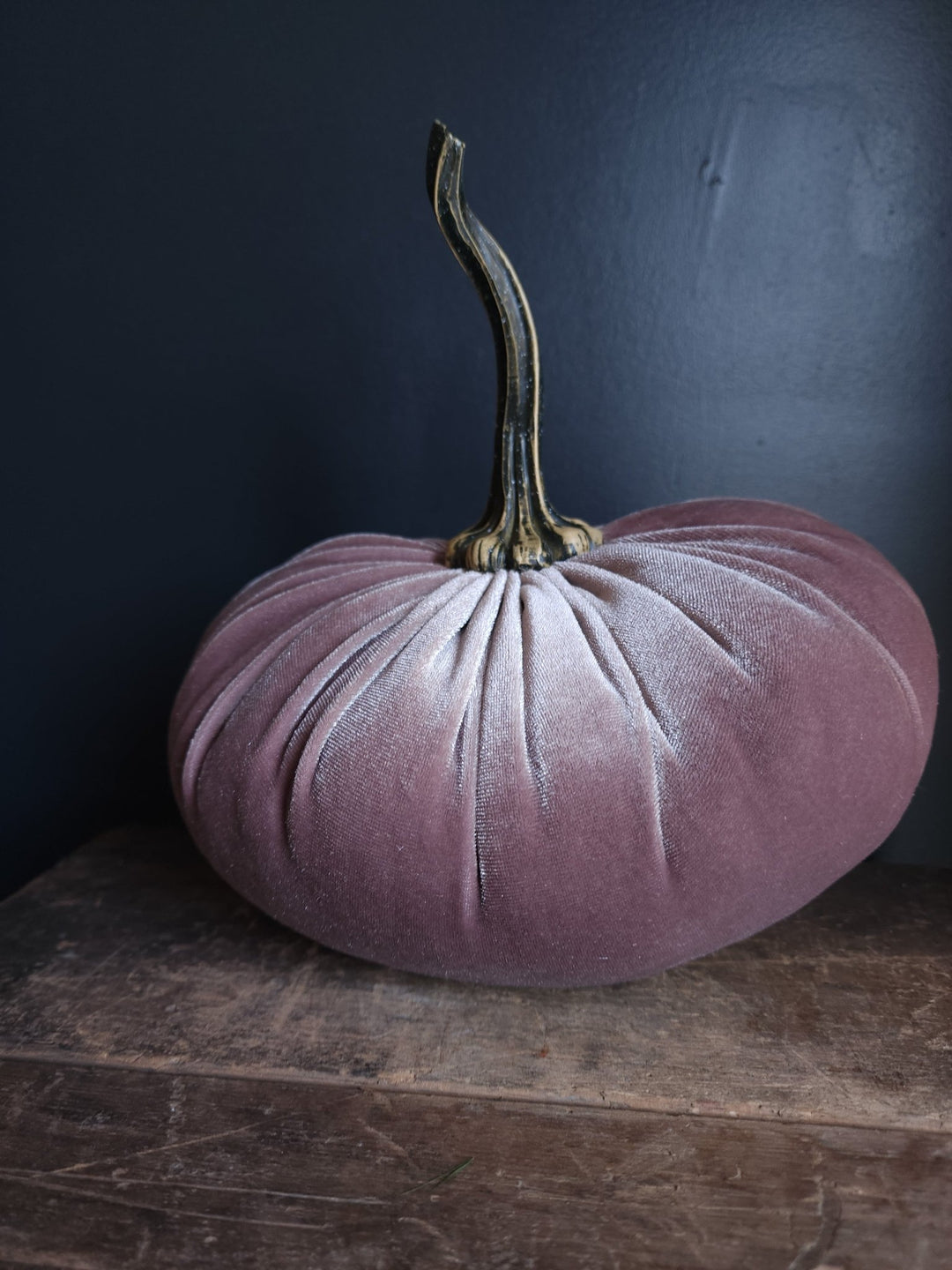 Velvet Pumpkin Large - Grow & Bloom Co.