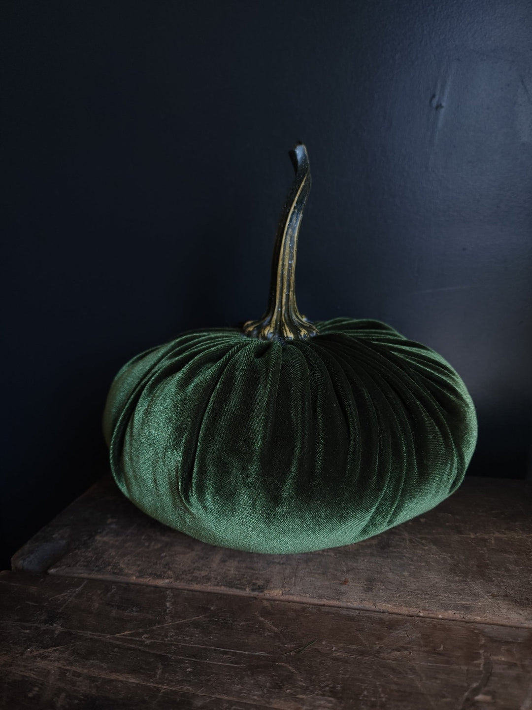 Velvet Pumpkin Large - Grow & Bloom Co.