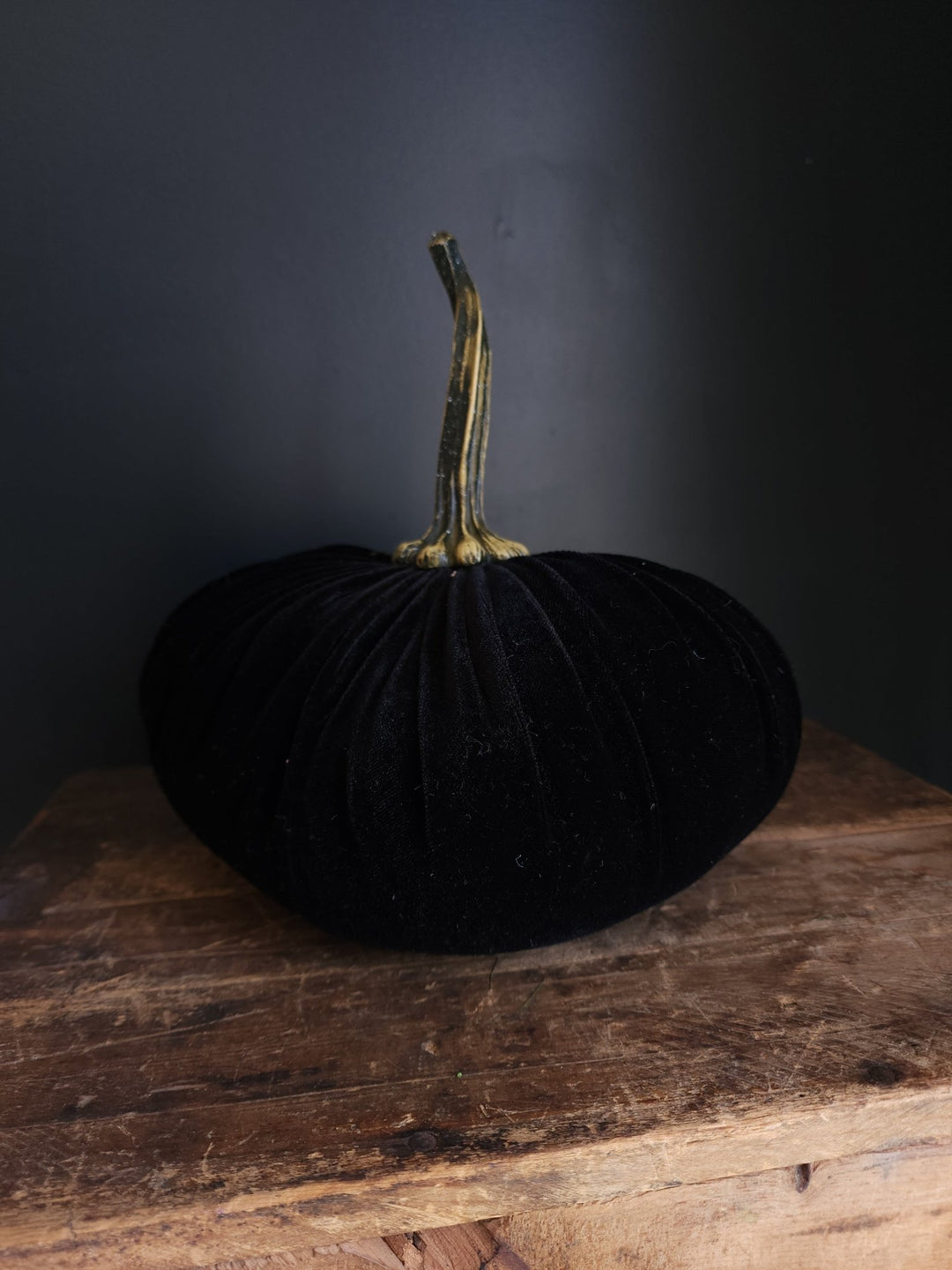 Velvet Pumpkin Large - Grow & Bloom Co.