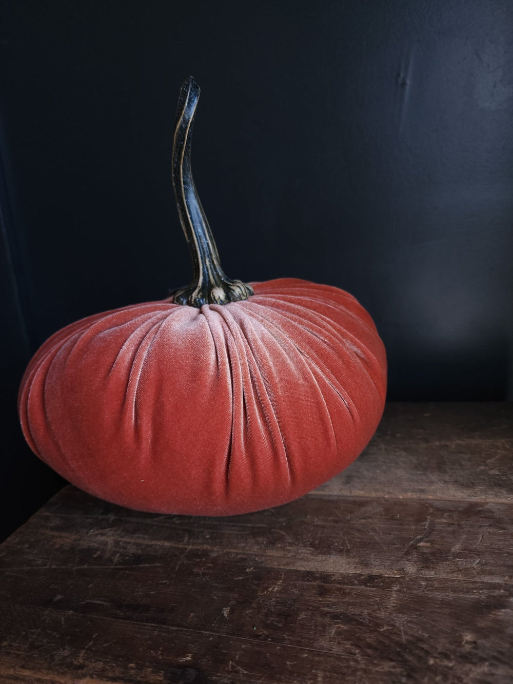 Velvet Pumpkin Large - Grow & Bloom Co.