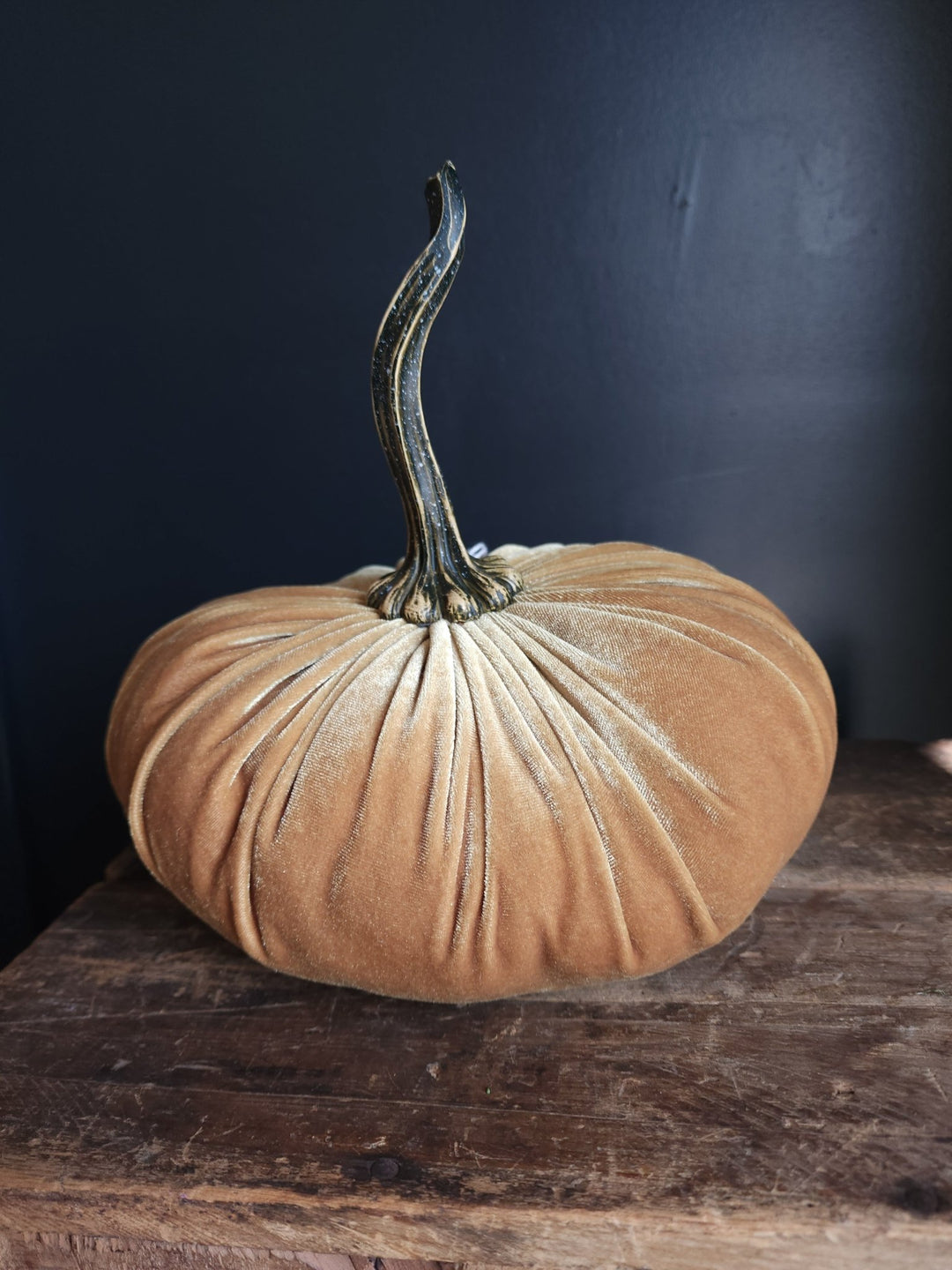 Velvet Pumpkin Large - Grow & Bloom Co.